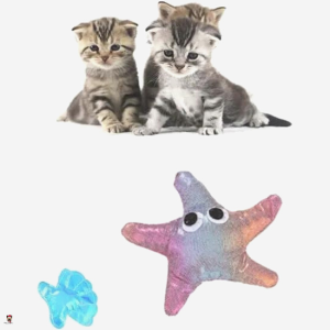 Cat Toy